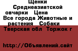 Щенки Среднеазиатской овчарки › Цена ­ 30 000 - Все города Животные и растения » Собаки   . Тверская обл.,Торжок г.